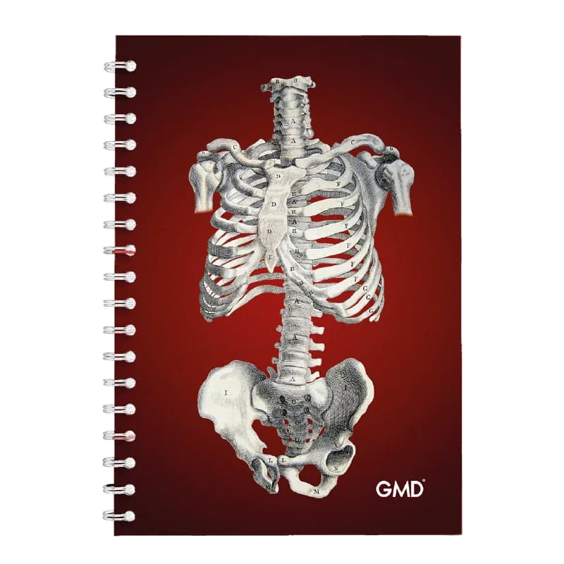 Cuaderno Argollado GMD Sistema Óseo Del Torso
