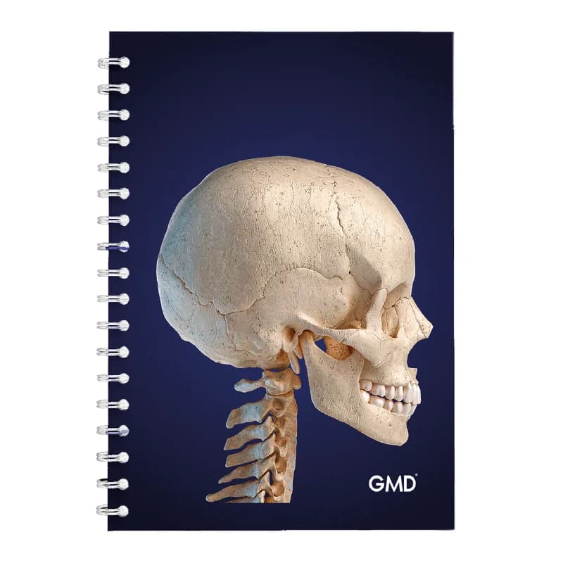 Cuaderno Argollado GMD Cráneo