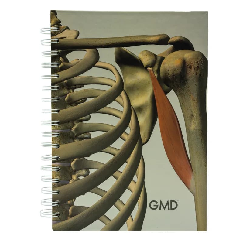Cuaderno Argollado GMD Huesos Humanos