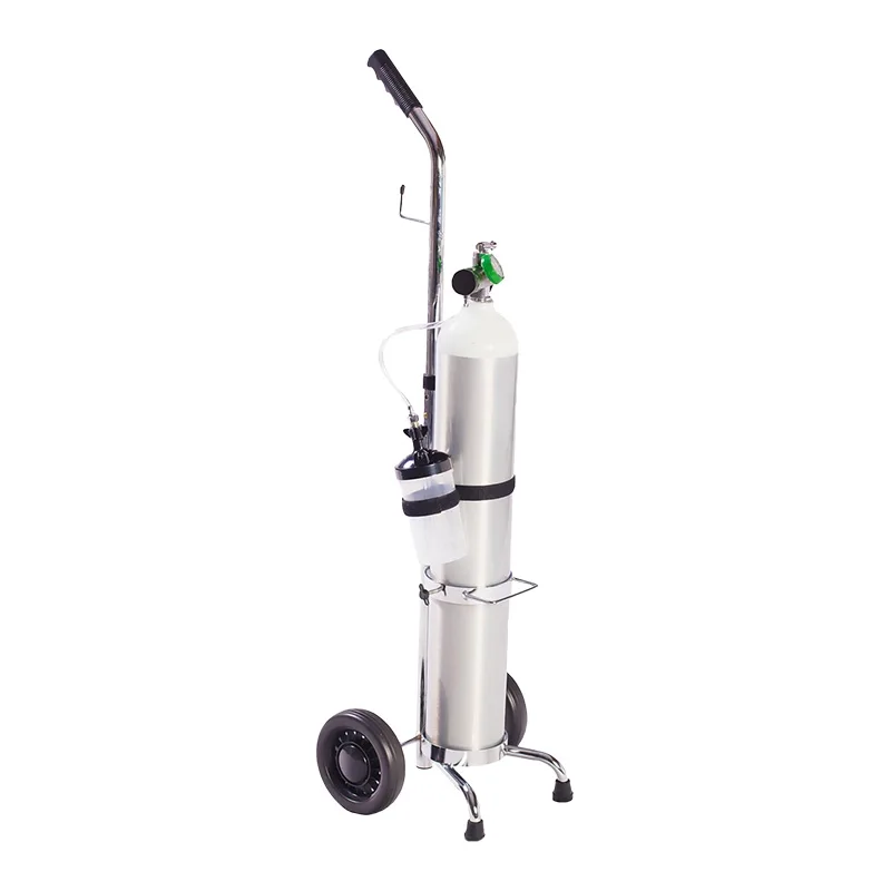 Kit 1 De Oxígeno Con Cilindro De 680 l